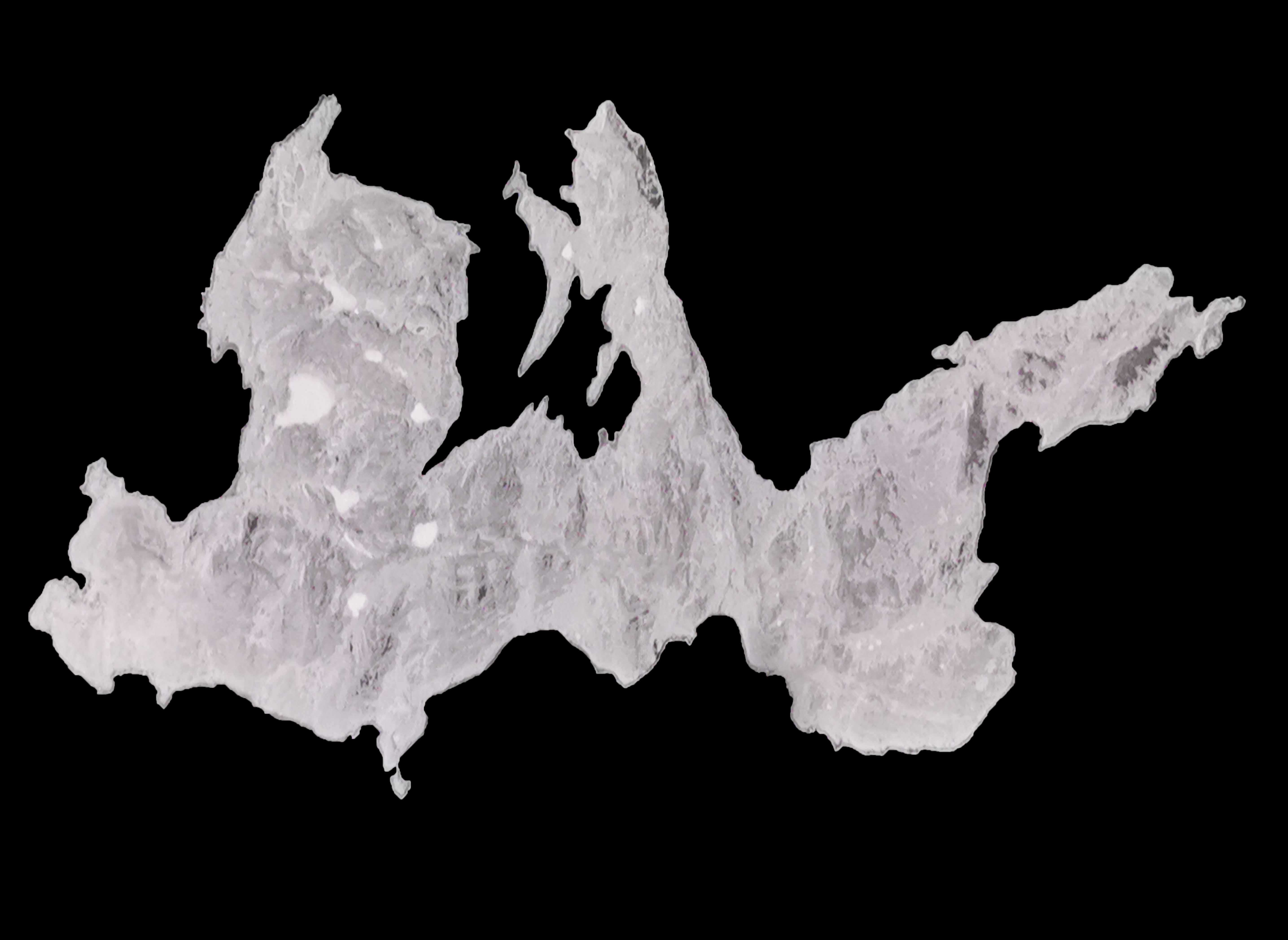 2022 Paréidolies Chataigneraie invitation recto