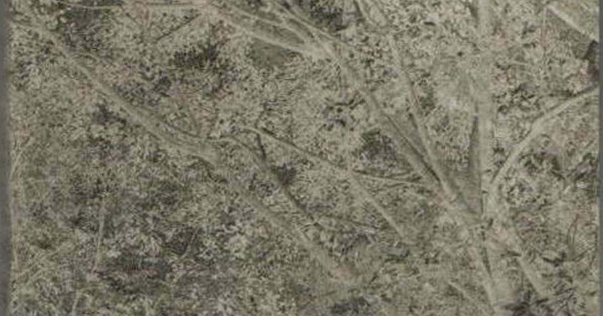 Catalogue La disparition Couverture texte Benedicte Merlan