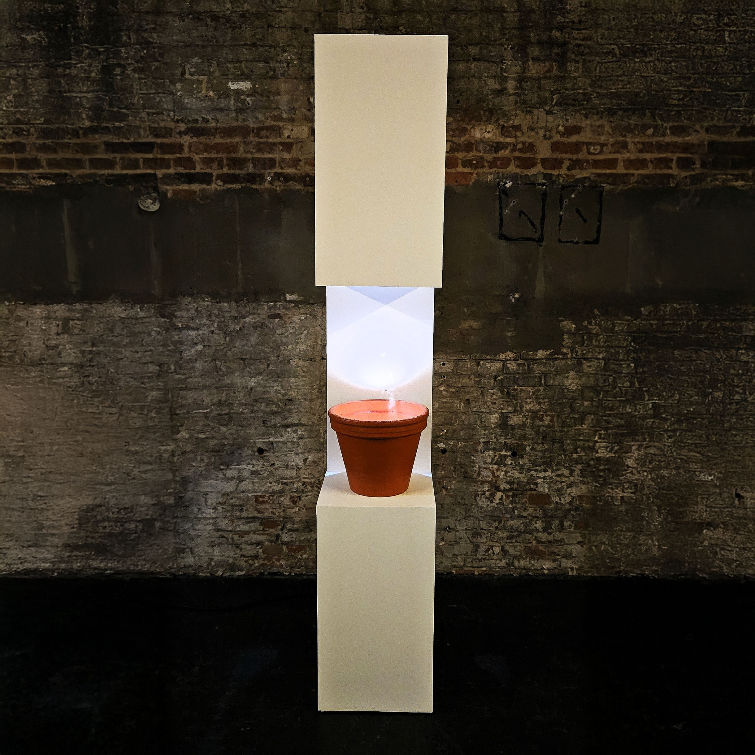 Argos-Rewind-Replay-Videographie